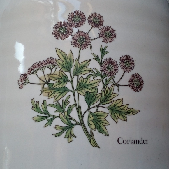 Coriander Jug - Picture 2 of 5